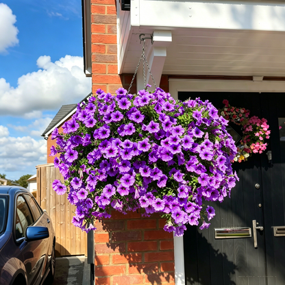 🏆2026 Super Value Set🔥UV Resistant Artificial Petunias Flowers