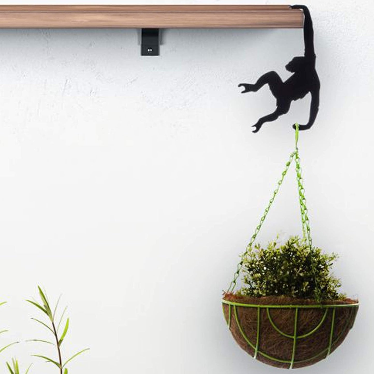 Gorilla Wooden Wall Hook, Heavy-Duty Organizer for Coats and Bags