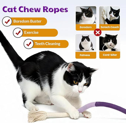 🔥LAST DAY 49% OFF😻3Pcs Catnip Chew Rope Toy – Natural, Safe Tooth Cleaner for Indoor Cats