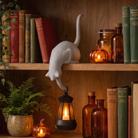 White Cat Hook with Lantern