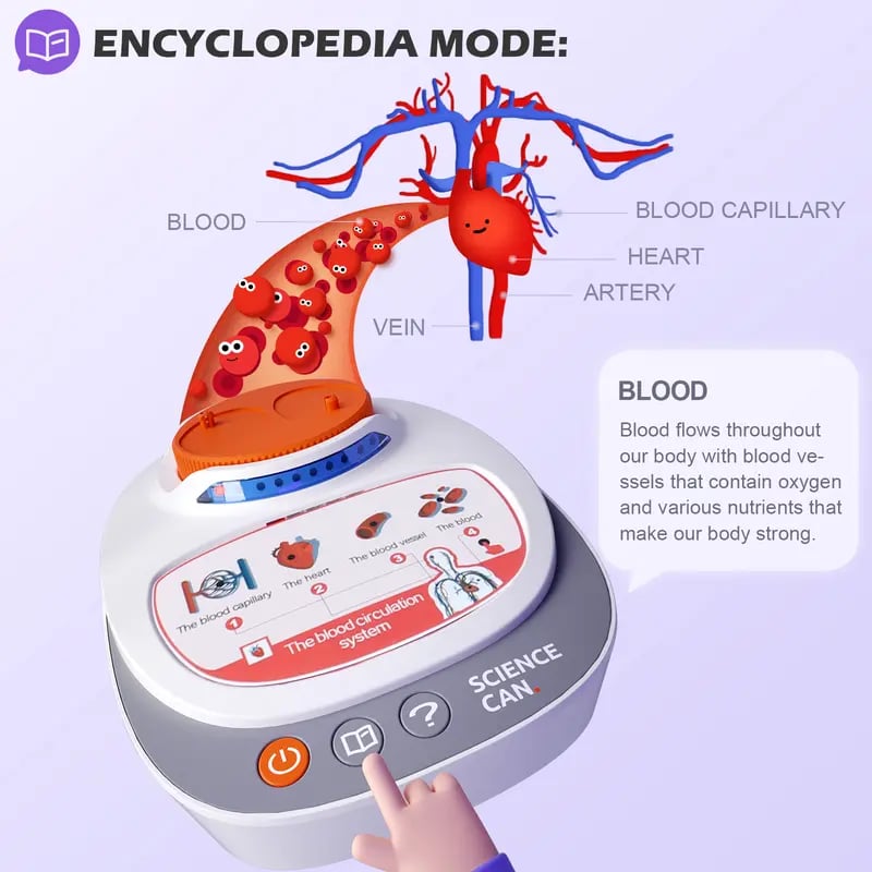 🧍🎁 Interactive Talking Human Body Anatomy Model