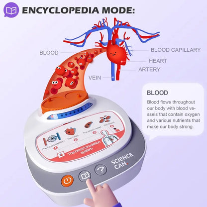 🧍🎁 Interactive Talking Human Body Anatomy Model