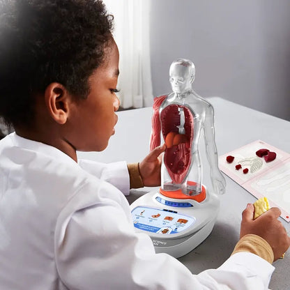🧍🎁 Interactive Talking Human Body Anatomy Model