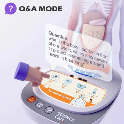 🧍🎁 Interactive Talking Human Body Anatomy Model