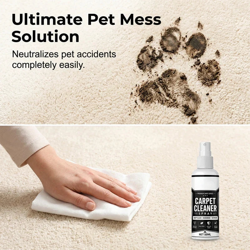 🏠 Deep Cleaning Carpet Cleaner Spray ✨