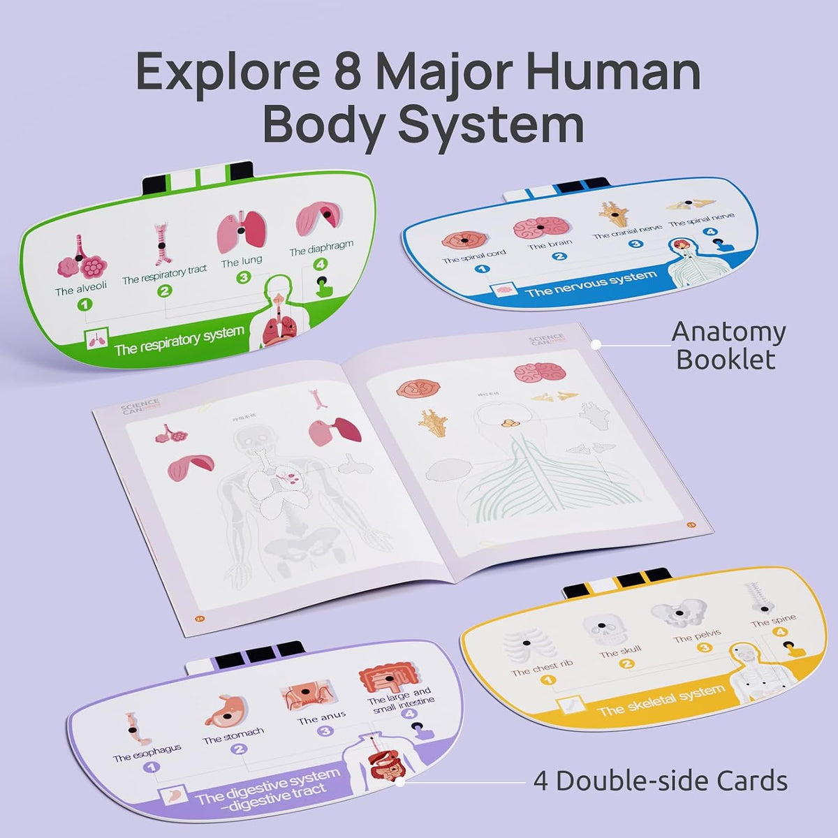 🧍🎁 Interactive Talking Human Body Anatomy Model
