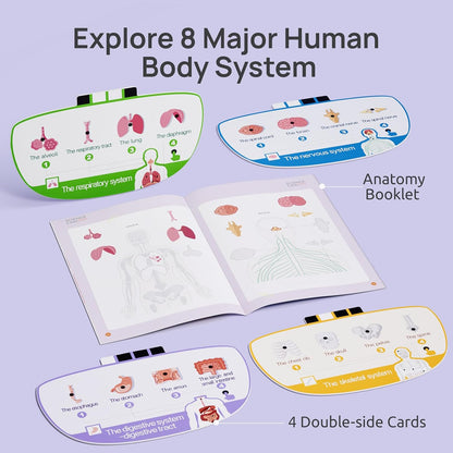 🧍🎁 Interactive Talking Human Body Anatomy Model