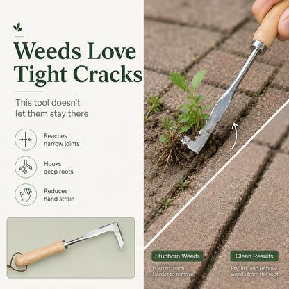 Buy 1 Get 1 Free 🔥Stainless Steel Crevice Weeder / L-Shape Hand Hoe