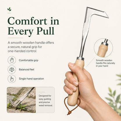 Buy 1 Get 1 Free 🔥Stainless Steel Crevice Weeder / L-Shape Hand Hoe