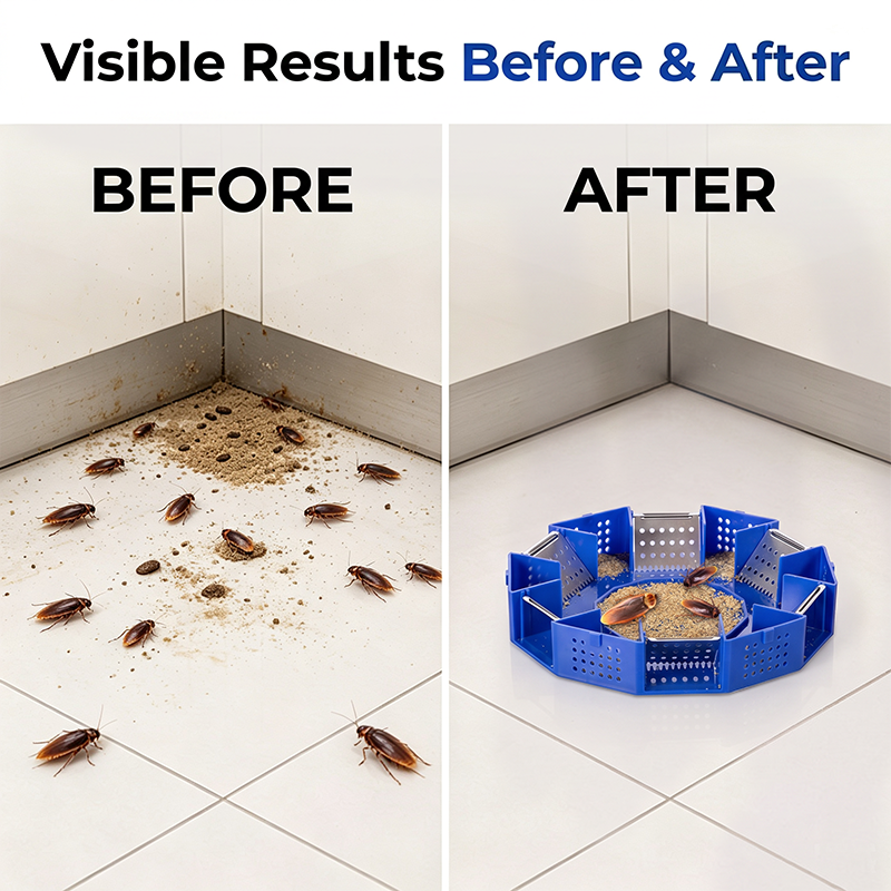 Before and after cockroach trap results